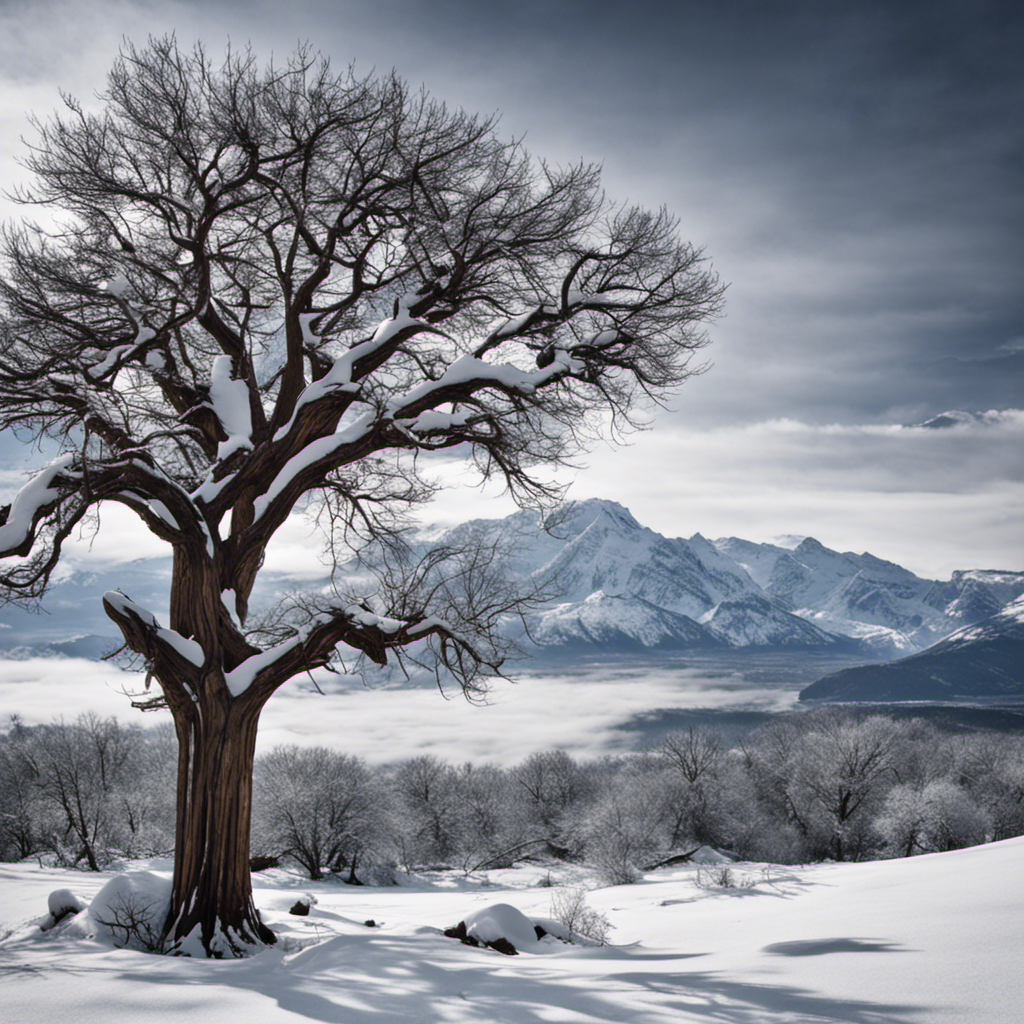 An image showcasing a barren tree, its branches stripped of leaves, standing against a backdrop of snow-covered mountains